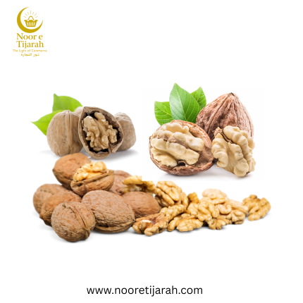 আখরোট (Walnut)